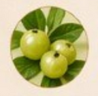 AMLA
