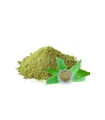 Gingembre bio